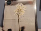 Daughter Stereo Mind Game Green Vinyl and Signed Print