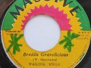 45 ROOTS / WAILING SOULS / BREDDA GRAVALICIOUS / MASSIVE / LISTEN
