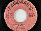Funk Psych 45 - Purple Snow - Down By The River - Saquarius - mp3