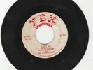 INDIANA ROCKABILLY  45  DARWIN NELSON & BLAZE-MAKERS  