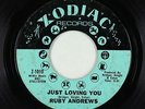 Northern Soul 45 - Ruby Andrews - Just Loving You - Zodiac - mp3
