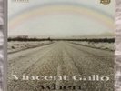 Vincent Gallo – When LP Warp Records – WARP LP 87 UK 2001 - Rare- Original Copy