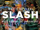 Slash World On Fire (Vinyl) 12