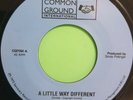 A LITTLE WAY DIFFERENT ORIGINAL CUT. I'M NOT THE MAN FOR YOU. ERROL DUNKLEY.RE