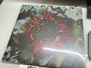 PROTEST THE HERO KEZIA BURN AWAY BURST x750 2LP VINYL RECORD BRAND NEW