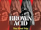 LP BROWN ACID- THE FIRST TRIP - VARIOUS (#603111999111)