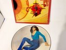 Kate Bush, Picture Disc, The Kick Inside Vinyl LP