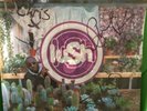 LUSH - 