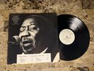 MUDDY MISSISSIPPI WATERS LIVE KILLER BLUES BLUE SKY WHITE LABEL PROMO LP EX+ NM