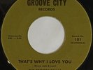 60's SOUL 45 RE-ISSUE The Professionals THAT's WHY I LOVE YOU 2013 Groove City