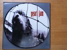 Pearl Jam / vs. / Picture Disc LP / 12inch vinyl / Edition Jahr 2000 / Superrar