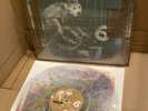 Pixies ‎”Doolittle” LP Vinyl - USED - Newbury Comics Splatter