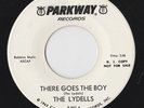 RARE DOO WOP 45 by THE LYDELLS HEAR IT