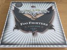 Foo Fighters - In Your Honour 12