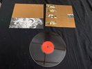 The Van Pelt - Stealing From Our Favorite Thieves LP post punk indie Lapse