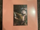 flowers for vases / descansos petals for armor deluxe vinyl hayley williams rare