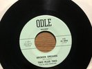 TWO PLUS TWO 45 Broken Dreams / Face In The Window -lofi Texas Country C&W ODLE