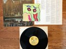 The Beach Boys - Holland LP Brother MS 2118 1973 Press w/ Insert & 7