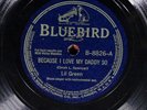 Lil Green BLUEBIRD 8826 E+/E 