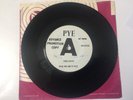 'The Primitives' 1965 UK Pye Label Promo 45; 'You Said'; Freakbeat _NM