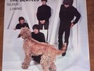 The Beatles Silver Lining Vinyl Album White Label