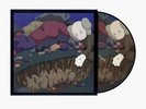 Snoop Doggy Dogg DoggyStyle by KAWS Gallery Picture LP VINYL Limited ORDER CONF