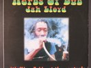 JAH LLOYD: herbs of dub TEEM 12