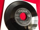 Doo-Wop. Rock & Roll. THE WILLOWS 