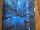 Hum “Downward Is Heavenward” Vinyl LP Black 180g Failure Shiner Earth Analog