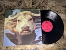 MAN WITH A HOLE IN THE MIDDLE RARE GERMAN PYE LABEL PROG PSYCH EX+ NM