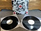 Blood Sugar Sex Magik by Red Hot Chili Peppers vinyl record 2012 pressing