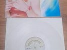 Vinyl Madonna Ray Of Light Rare Limited Mdna Hard Candy Rebel Heart Erotica