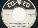 DEE CALS - Stars In The Blue What Should I / Wonderful Day -CO ED - Doo Wop 45