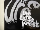 The Cure A Forest In Between Days UK Fiction 1990 45rpm French Mixed Up NM