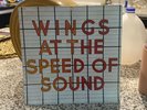 Wings At The Speed Of Sound Hanging Display