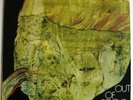 Out of Focus album, German Pressing 1971 prog band Hard to find Mint