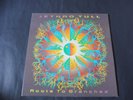 Jethro Tull - Roots To Branches 1995 UK DOUBLE LP CHRYSALIS 1st