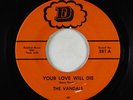 Garage 45 - Vandals - Your Love Will Die/Mary - D - VG++ mp3