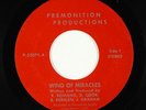 Garage/Psych 45 - Premonition Productions - Pyramid Premonition - mp3 - obscure