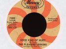 Garage Girl Group 45 The Pleasure Seekers - Light Of Love on Mercury Suzi Quatro