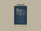KARATE: IN PLACE OF REAL INSIGHT :LP vinyl *BRAND NEW*: