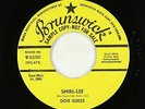 Rock & Roll Popcorn 45 - Don Guess - Shirl-Lee - Brunswick - VG+ mp3