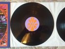 THE BOO RADLEYS GIANT STEPS RARE DOUBLE VINYL ALBUM DIVERSE 2013 SHOEGAZE RIDE
