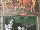 Presidents Of The United States Of America (2023 Gold Nugget Vinyl LP) Bandbox
