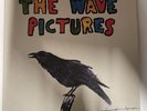 The Wave Pictures - City Forgiveness 2x White Vinyl LP *No CD*