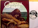 GRATEFUL DEAD - Wake Of The Flood - '73 ORIG GD label VG+/EX LP - NO song titles