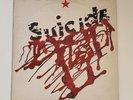 Original 1977 Suicide LP UK Bronze release  + Flexi disc : Good Condition
