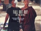 FALL OUT BOY: SAVE ROCK & ROLL (LP vinyl *BRAND NEW*.)