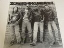 Screeching Weasel, Ramones cover LP. first pressing Punk vinyl Rare