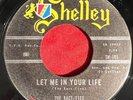 The Kact-Ties - Let Me In Your Life - Shelley - RARE POPCORN SWEET SOUL 45